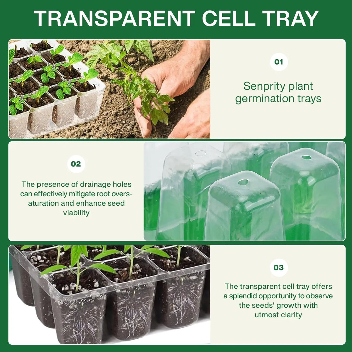 12-Cell Seed Starter Tray