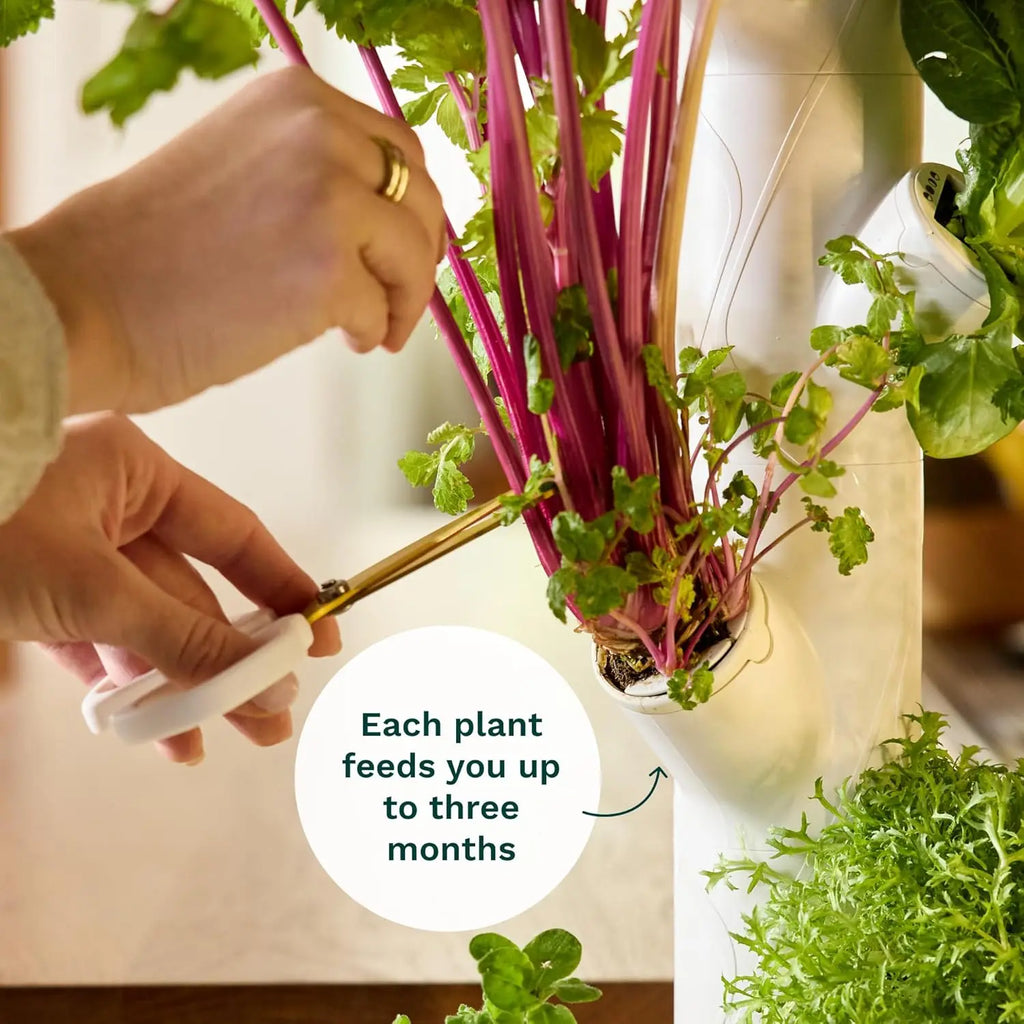 Smart Indoor Gardening System Commercial Vertical Farming 30 Non-GMO Plants Planter LED Grow Agricultural Greenhouses