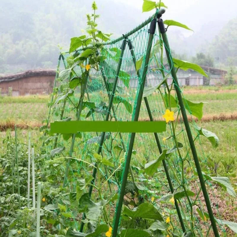 Garden Climbing Trellis Net