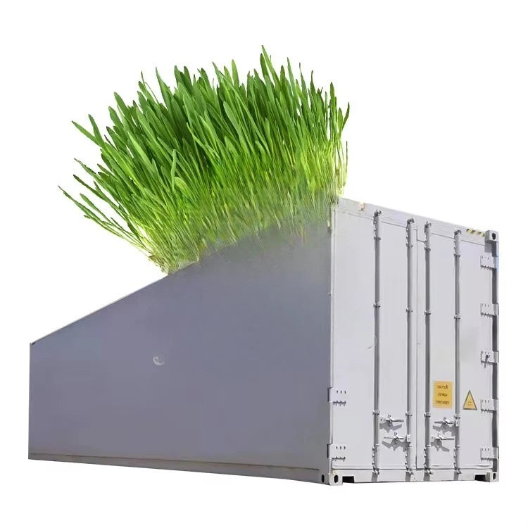 ORME Electric Automatic Mung Bean Alfalfa Sprout Equipment Lettuce Seed Sprout Growing Germination Machine