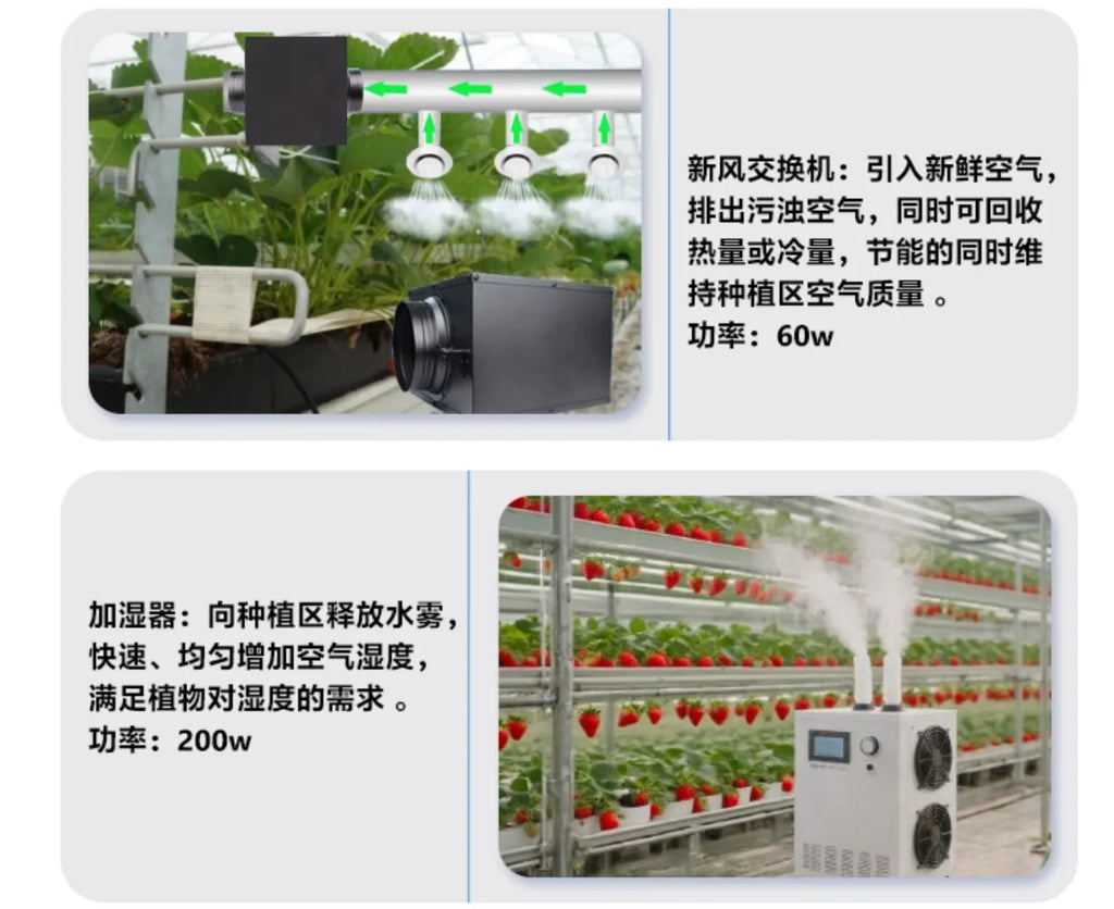 Smart Vertical Hydroponic Container Farm Fully Automatic Strawberry Vegetable Growing Equipment  for Commercial Plant Factory