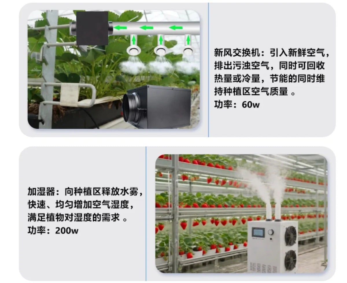 Smart Vertical Hydroponic Container Farm Fully Automatic Strawberry Vegetable Growing Equipment  for Commercial Plant Factory