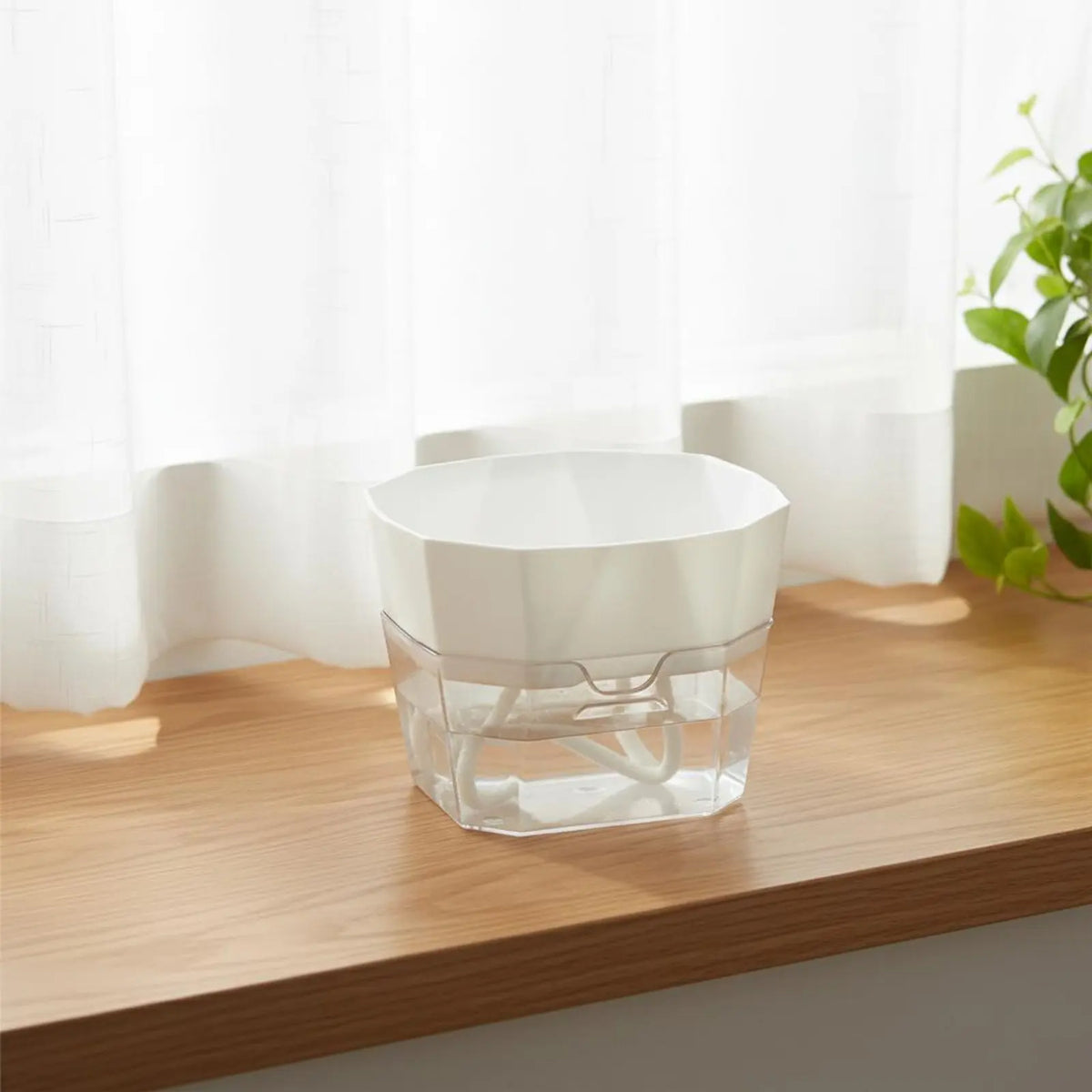 Hydroponic Bulb Vase