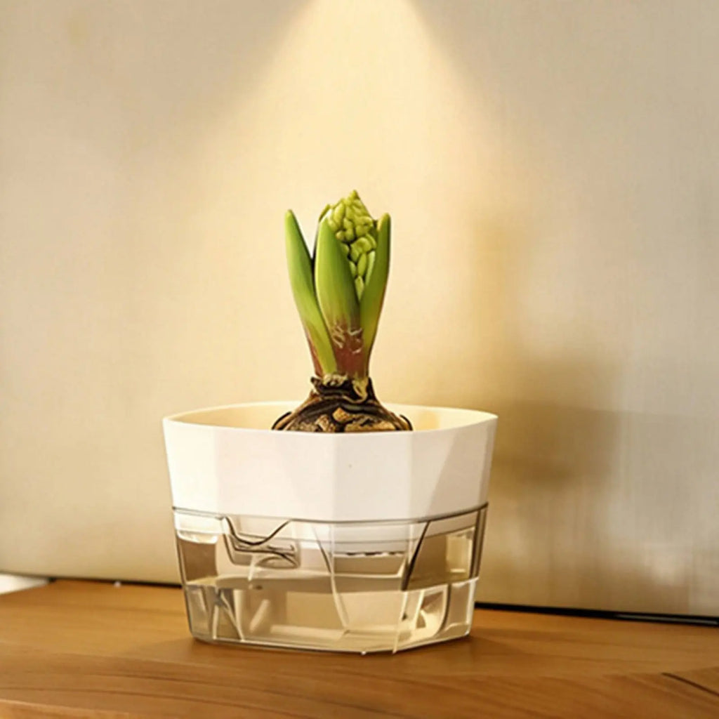 Hydroponic Bulb Vase