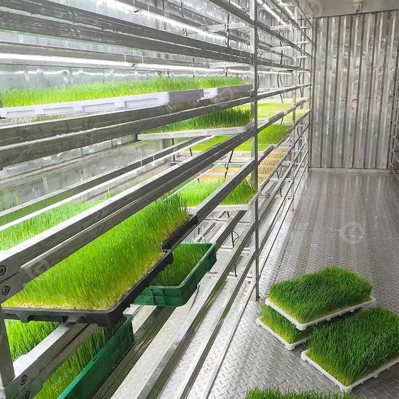 Fully Automatic Farm System Hydroponic Forage Mushroom Fodder Growing Grow Container Bean Sprout Farming Machine