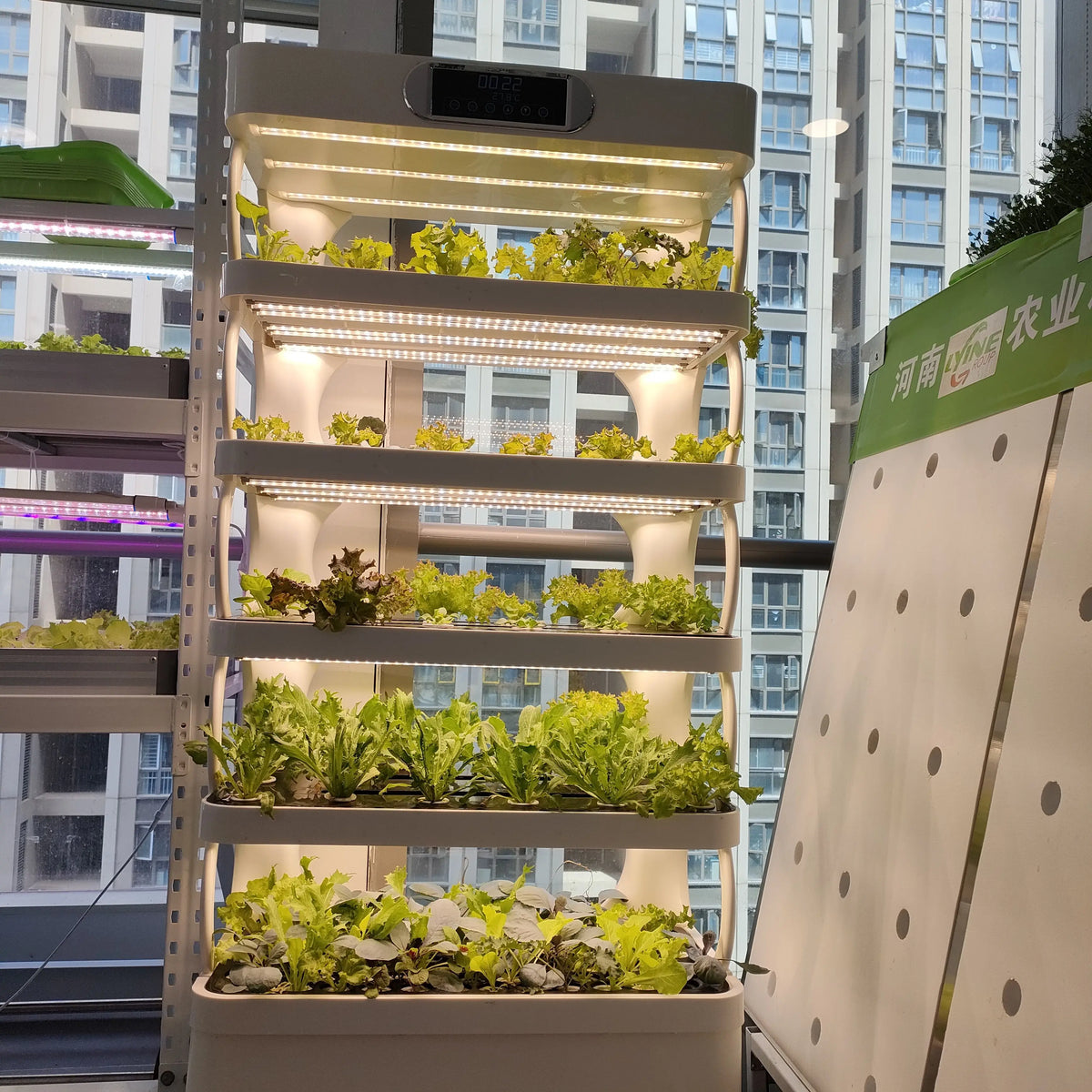 Automatic Indoor Hydroponic Growing System Vertical Farming Leafy Vegetable Planting Intelligent Vegetable Growing Cabinet