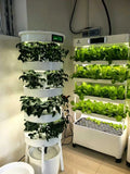 Small Vertical Hydroponic System Pump Grow Lights for Indoor Garden Plant Cabinets Automatic Watering Aquaponic