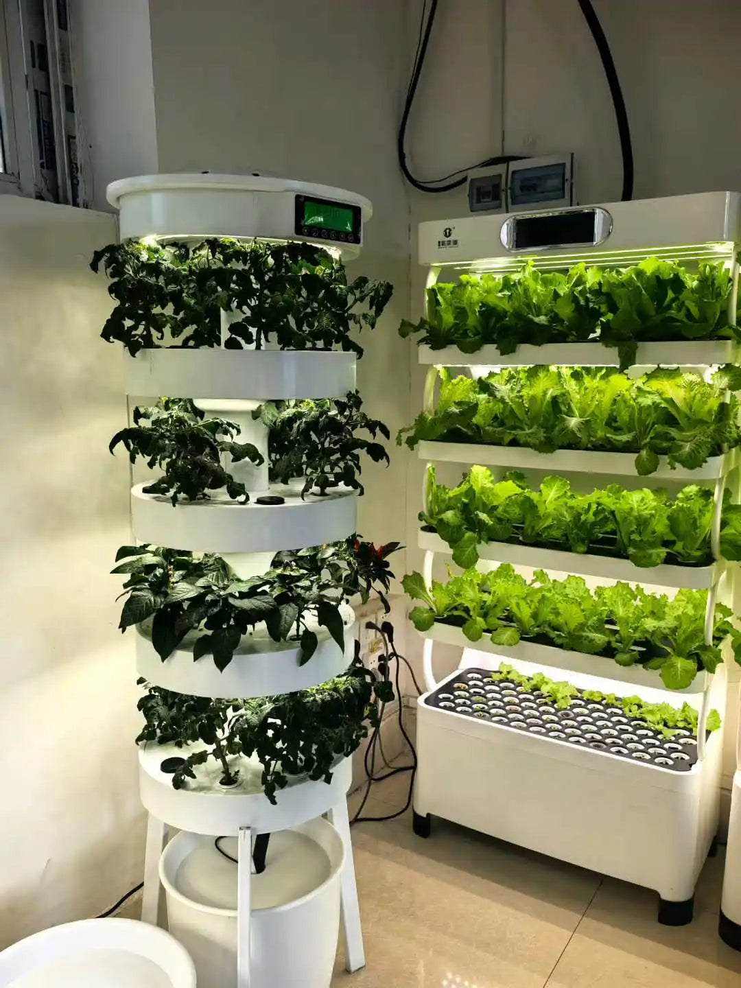 Small Vertical Hydroponic System Pump Grow Lights for Indoor Garden Plant Cabinets Automatic Watering Aquaponic