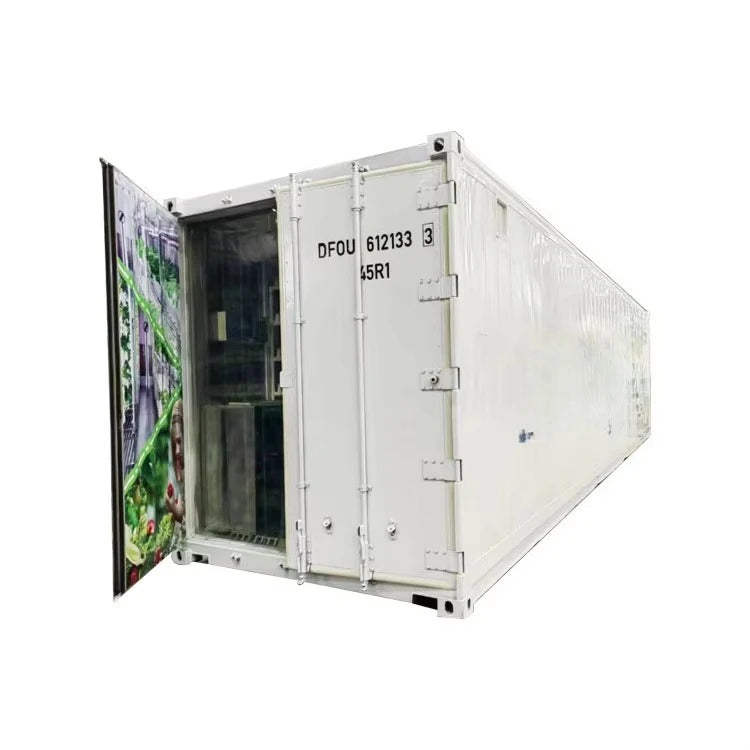 Automatic Smart Lettuce/Microgreen/Mushroom/Vegetables Planting System Growing Cabinet Container Farms