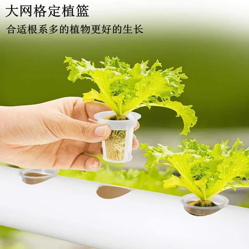 Home Balcony Pipe Hydroponic Growing Rack Automatic Multi Layer Vegetable Soilless Cultivation Planting Machine