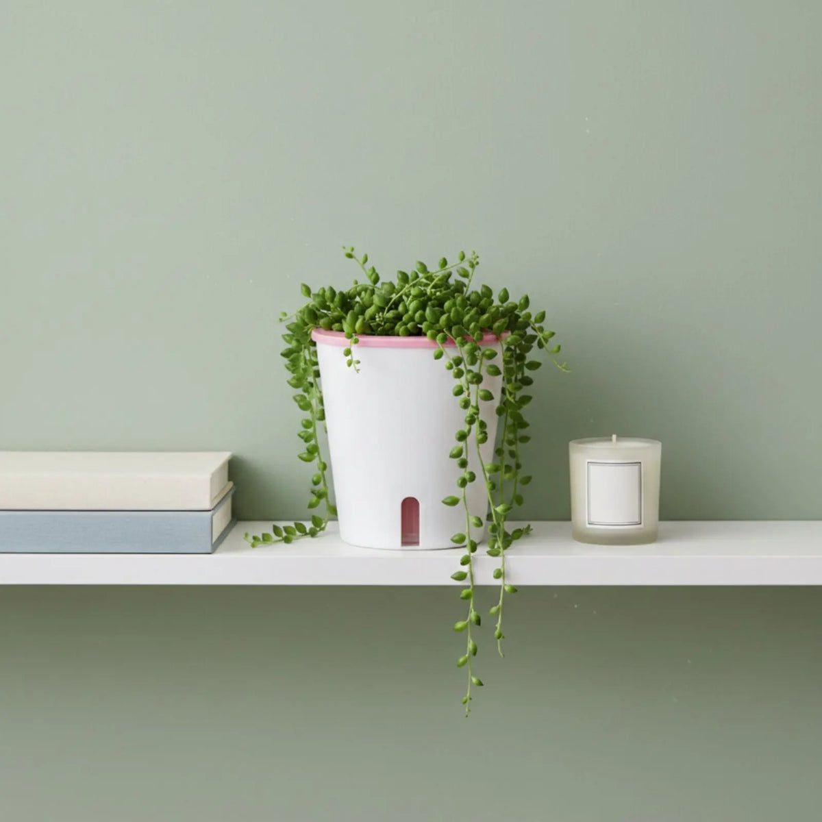 Self-Watering Round Planter