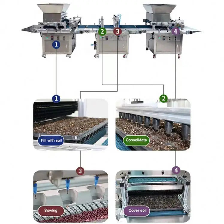 Automated Nursery Equipment for Vegetable and Flower Seedlings Complete Production Line With Intelligent Seeding System