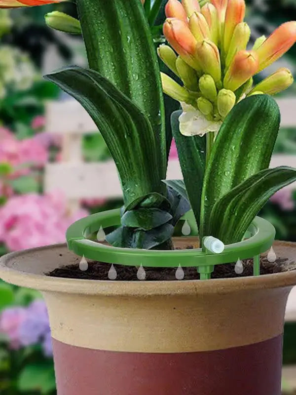 Water Rings For Plant 3 Legs Support Drip Emitter Drip Ring Automatic Plant Watering Dripper For Greenhouse Garden Balcony Grow