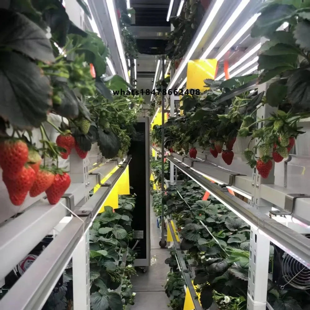 Smart Vertical Hydroponic Container Farm Fully Automatic Strawberry Vegetable Growing Equipment  for Commercial Plant Factory