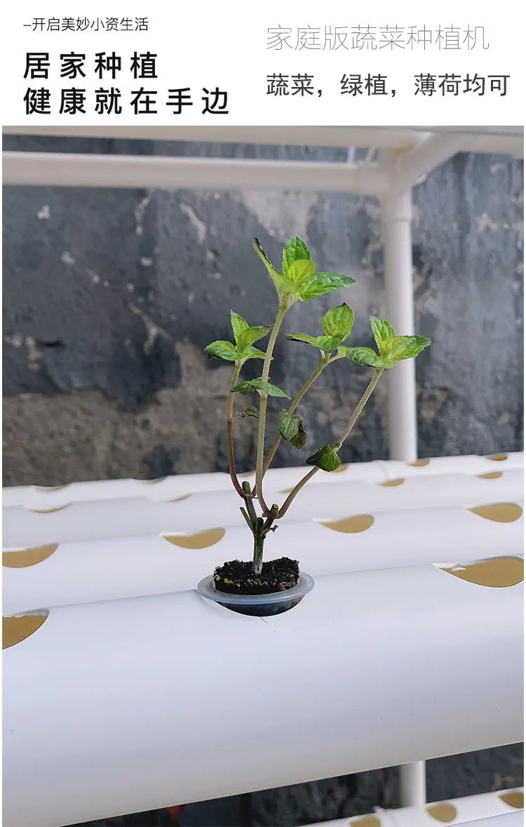 Automatic Flat Tube Hydroponic Vegetable Growing Machine Household Balcony Soilless Cultivation Planting Frame