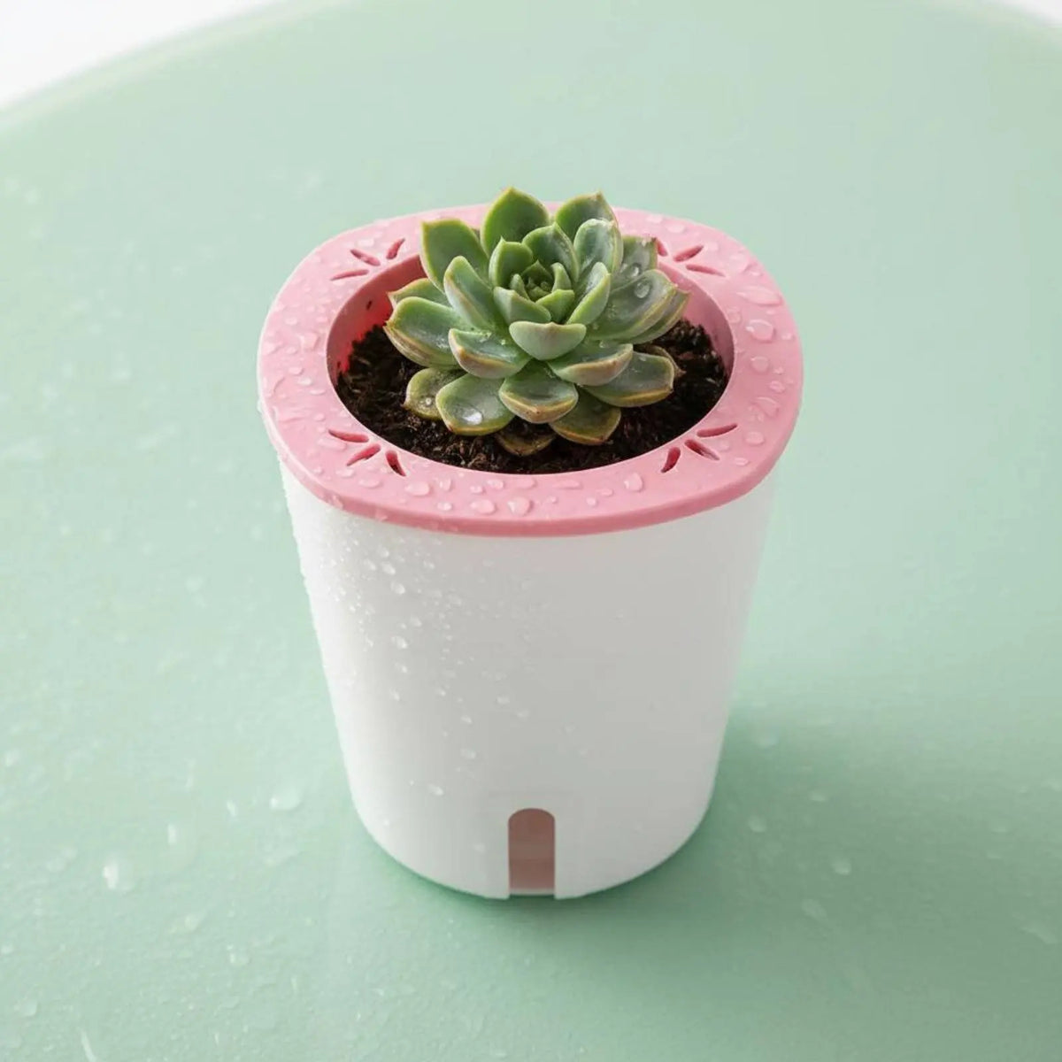 Self-Watering Round Planter