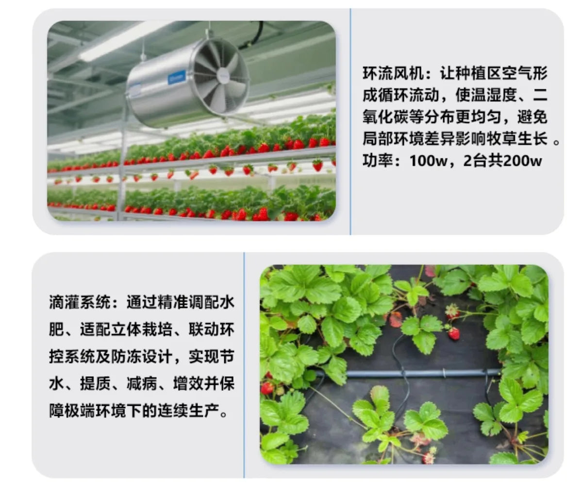 Smart Vertical Hydroponic Container Farm Fully Automatic Strawberry Vegetable Growing Equipment  for Commercial Plant Factory