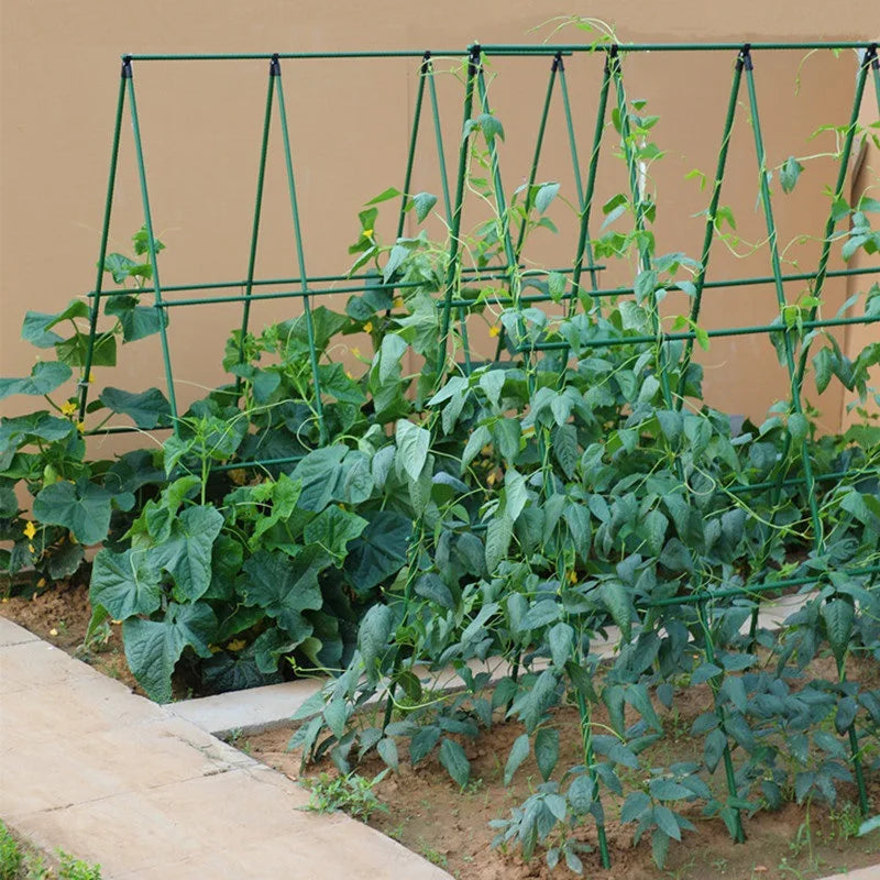 A-Frame Vegetable Trellis & Plant Support Options