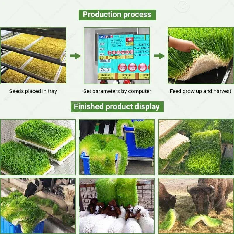 Fully Automatic Farm System Hydroponic Forage Mushroom Fodder Growing Grow Container Bean Sprout Farming Machine