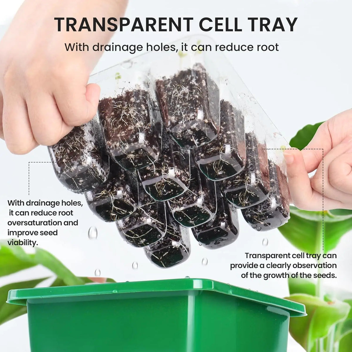 12-Cell Seed Starter Tray