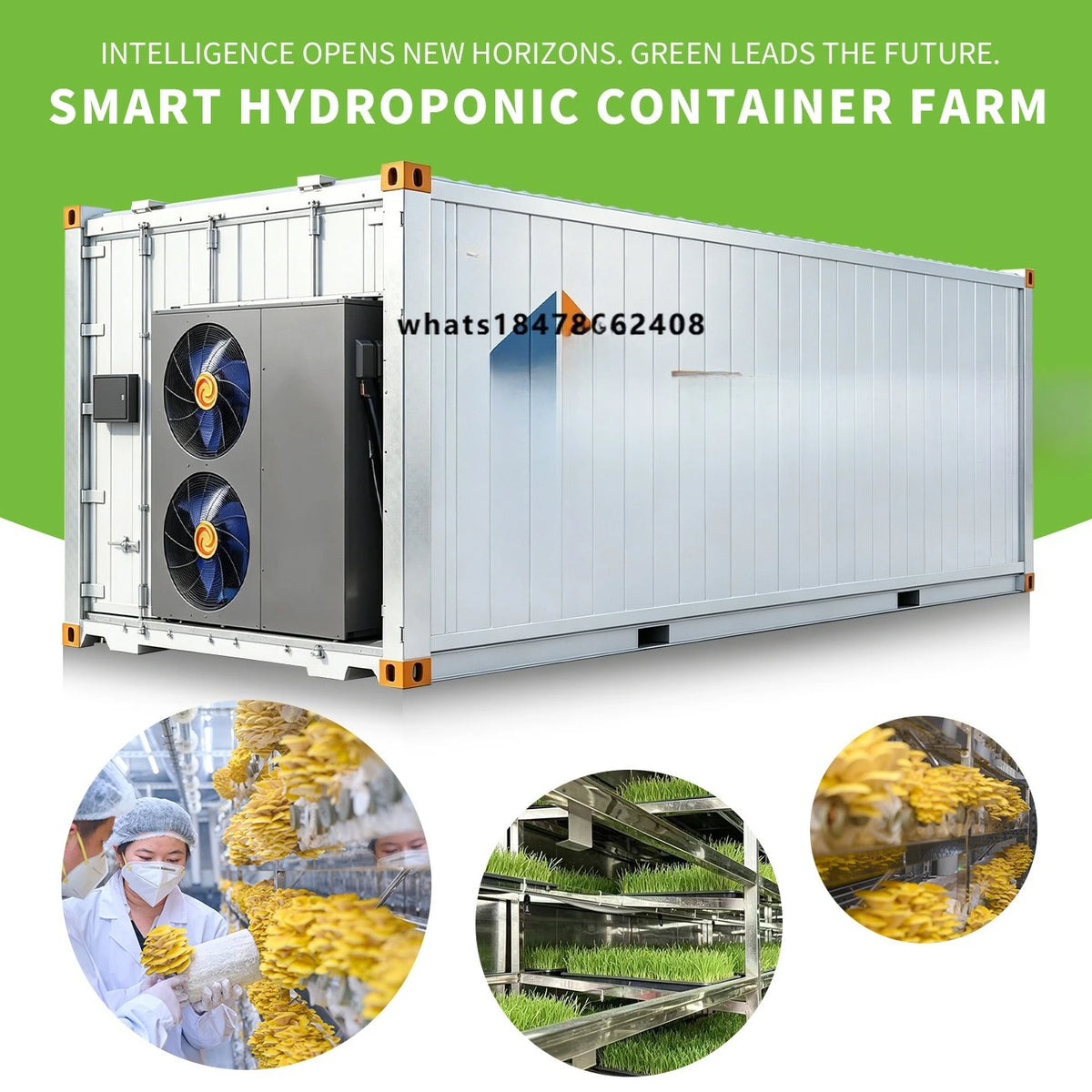 Automatic Smart Large Mushroom/Vegetables Planting System Growing Cabinet Container Farms with 304 Stainless Steel