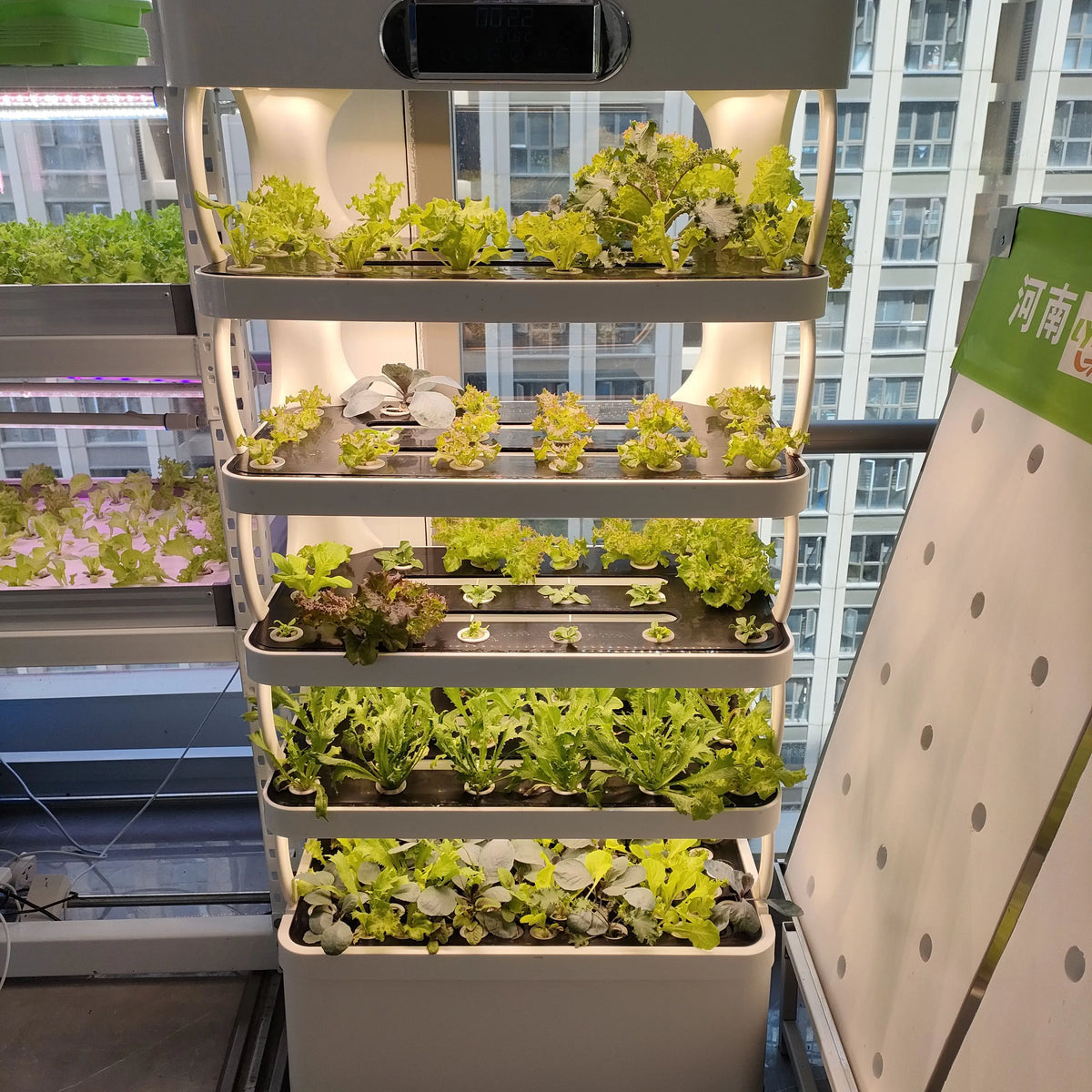 Automatic Indoor Hydroponic Growing System Vertical Farming Leafy Vegetable Planting Intelligent Vegetable Growing Cabinet