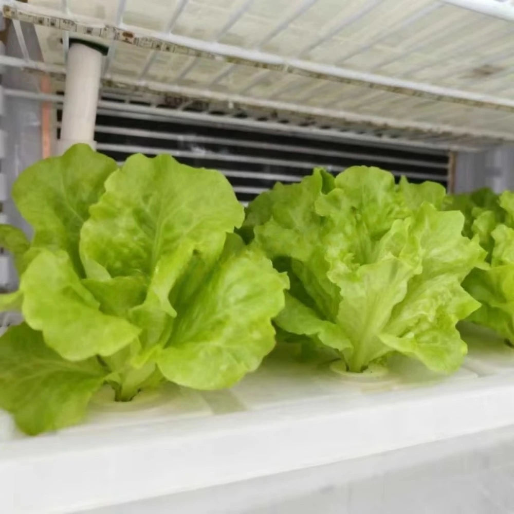 HZ-2 Indoor Hydroponic Multi-Layer Smart Automatic Vertical Farming Planting Cabinet with ABS Cover and Pump | Vegetable Growing
