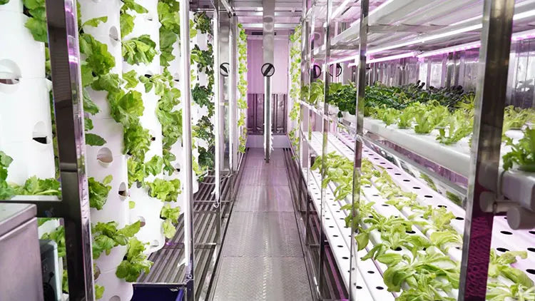Automatic Smart Lettuce/Microgreen/Mushroom/Vegetables Planting System Growing Cabinet Container Farms