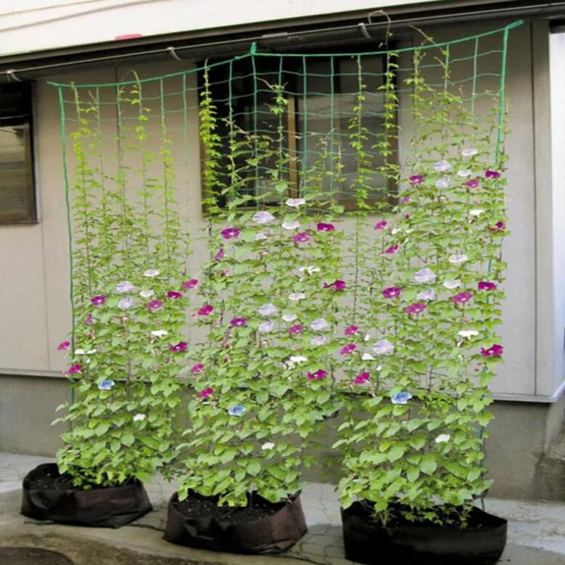 Garden Climbing Trellis Net