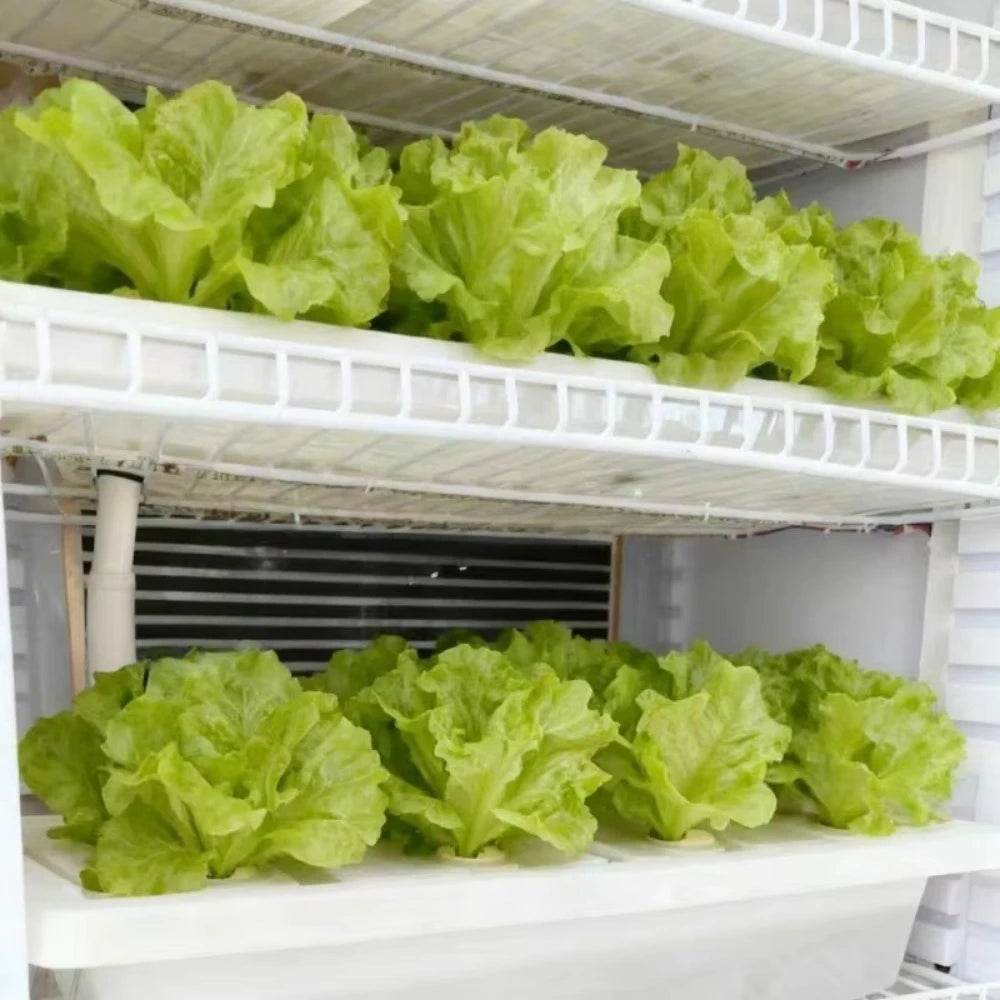 HZ-2 Indoor Hydroponic Multi-Layer Smart Automatic Vertical Farming Planting Cabinet with ABS Cover and Pump | Vegetable Growing