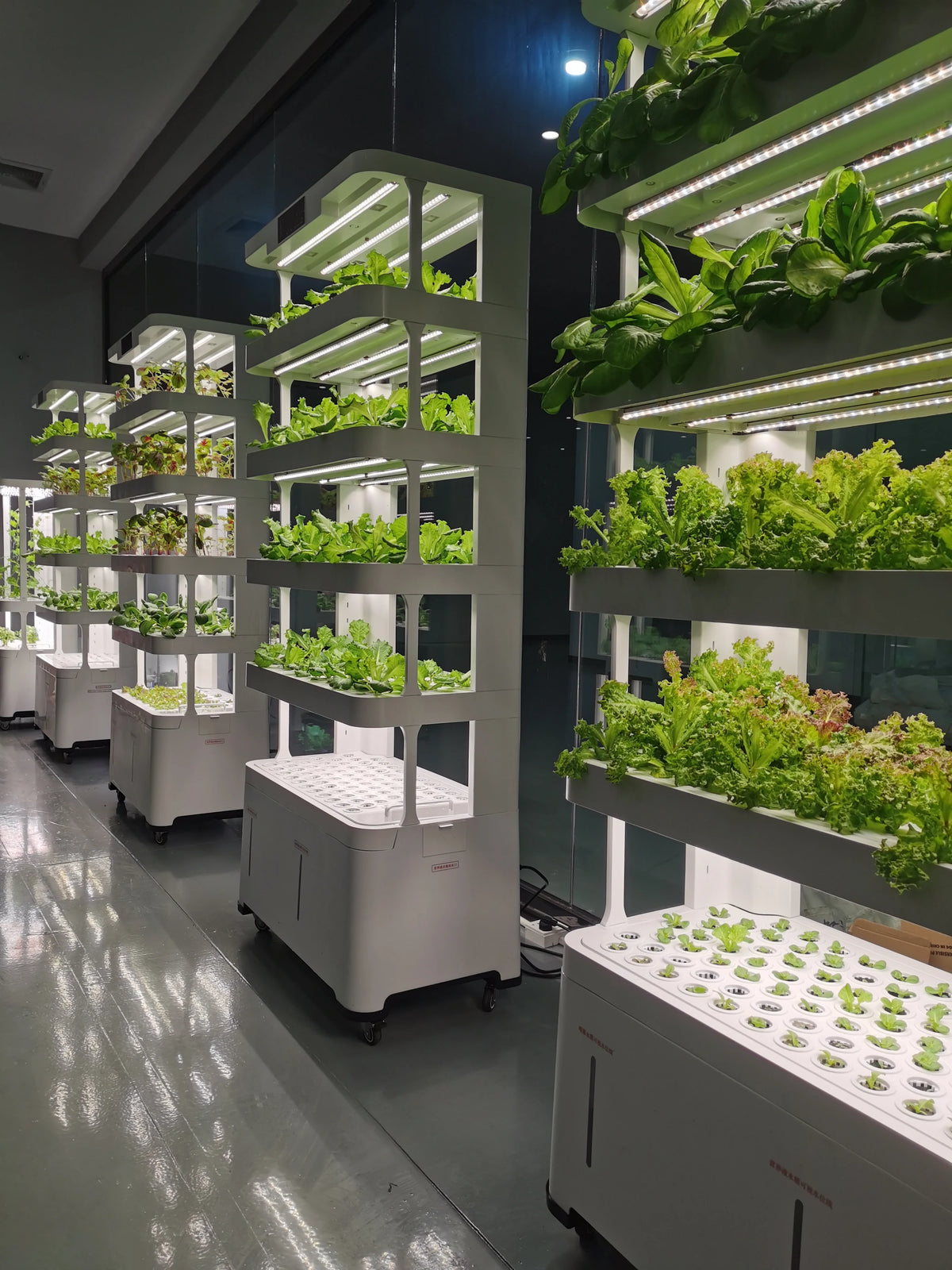 Automatic  Home Indoor Smart Hydroponic Growing Systems Intelligent Vegetable Planting Equipment