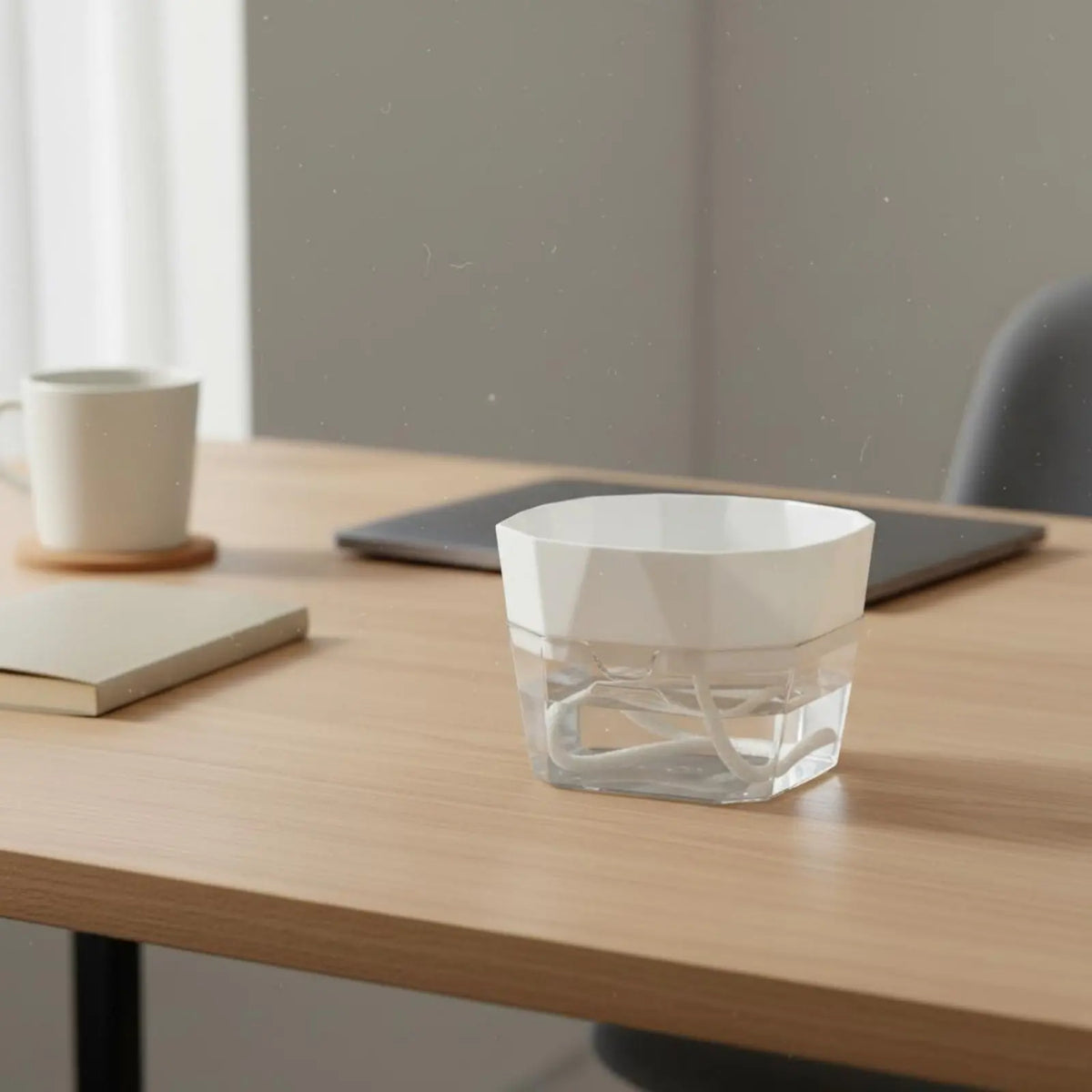 Hydroponic Bulb Vase