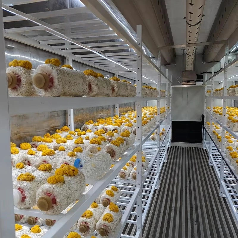 Automatic Smart Mushroom/Vegetables Planting System Growing Cabinet Container Farms
