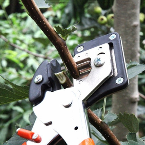 Tree Grafting Tool with Spare Blades