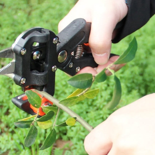 Tree Grafting Tool with Spare Blades
