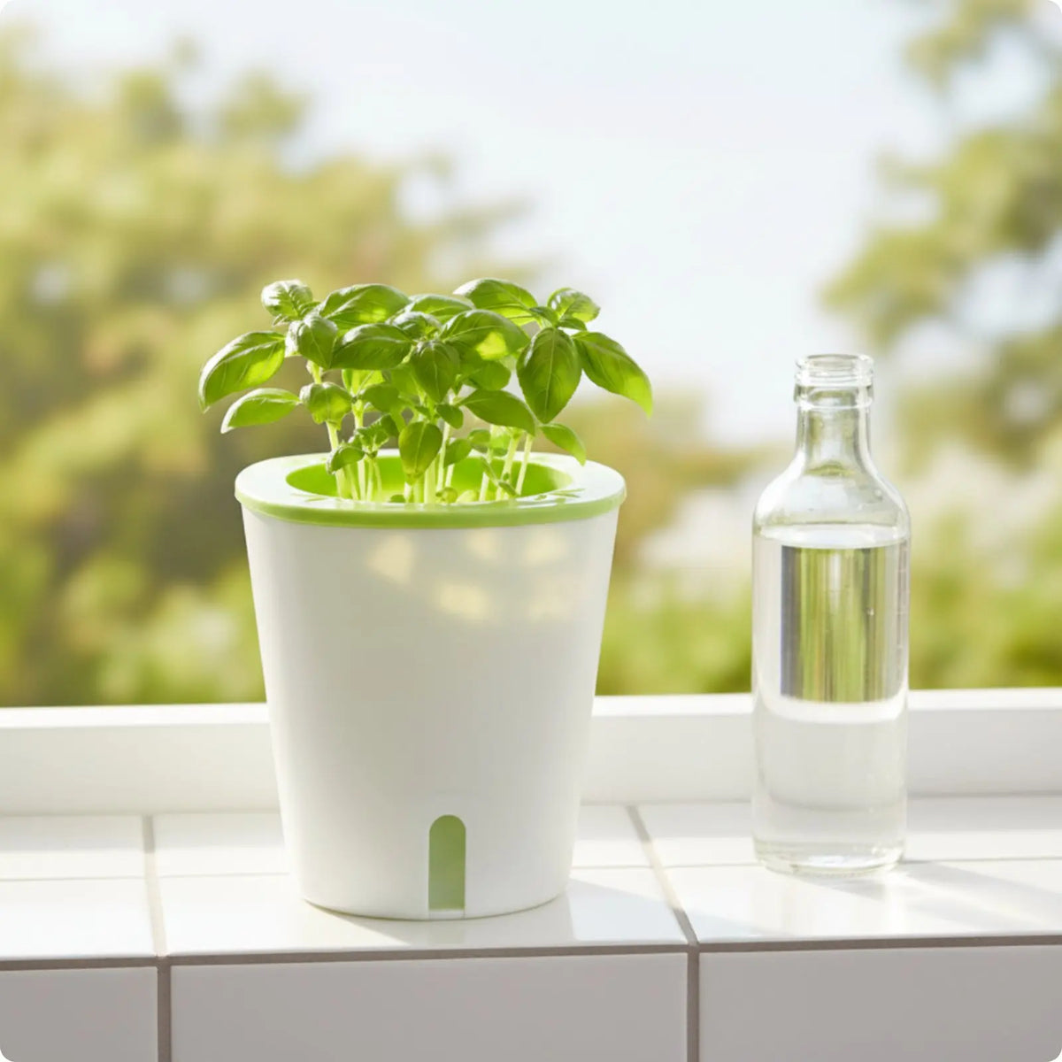 Self-Watering Round Planter