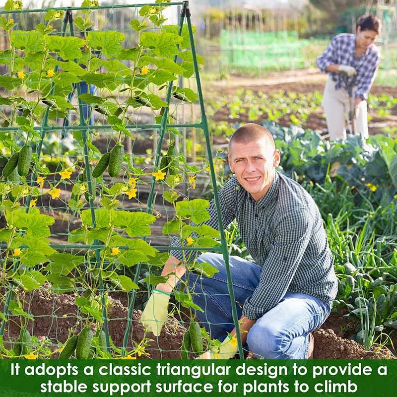 A-Frame Vegetable Trellis & Plant Support Options