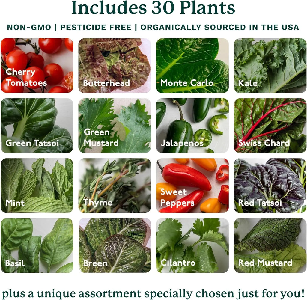 Smart Indoor Gardening System Commercial Vertical Farming 30 Non-GMO Plants Planter LED Grow Agricultural Greenhouses