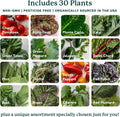 Smart Indoor Gardening System Commercial Vertical Farming 30 Non-GMO Plants Planter LED Grow Agricultural Greenhouses