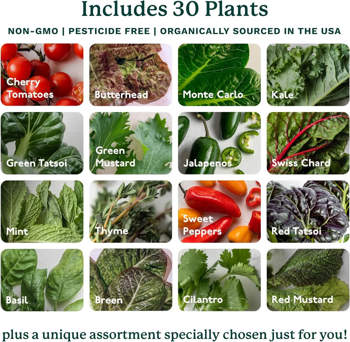 Smart Indoor Gardening System Commercial Vertical Farming 30 Non-GMO Plants Planter LED Grow Agricultural Greenhouses