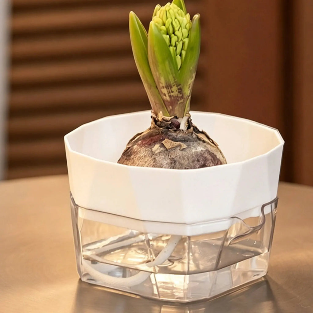 Hydroponic Bulb Vase