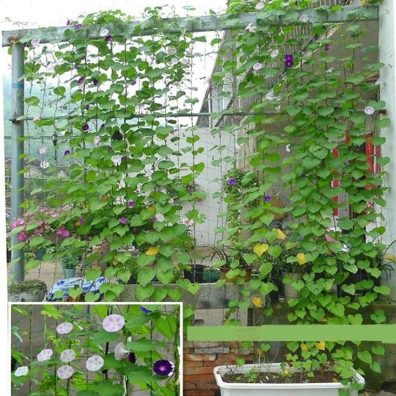 Garden Climbing Trellis Net