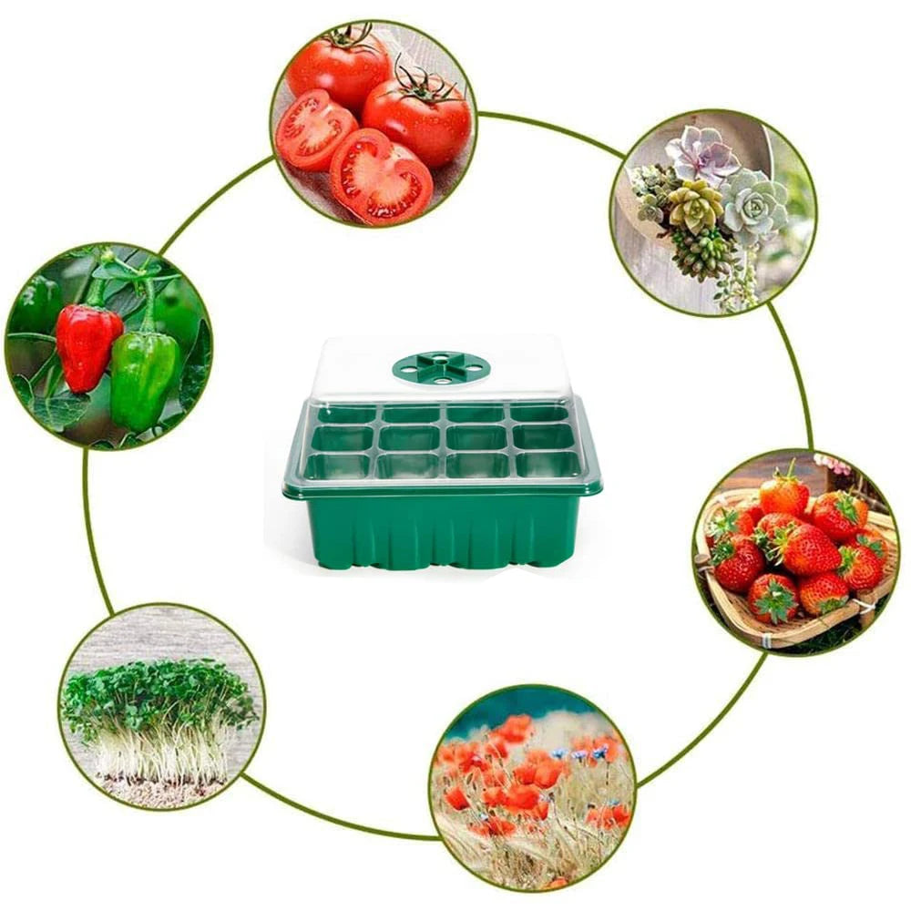 12-Cell Seed Starter Tray