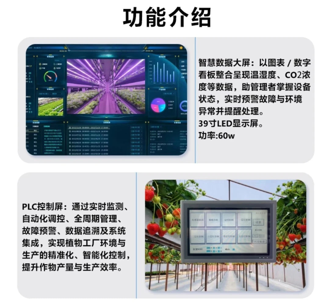 Smart Vertical Hydroponic Container Farm Fully Automatic Strawberry Vegetable Growing Equipment  for Commercial Plant Factory