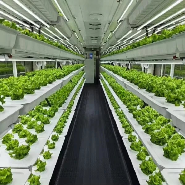Smart Automatic Aeroponic/Aquaponic Vegetable  Farm-Shipping Container Growing System with PVC Engine & Pump