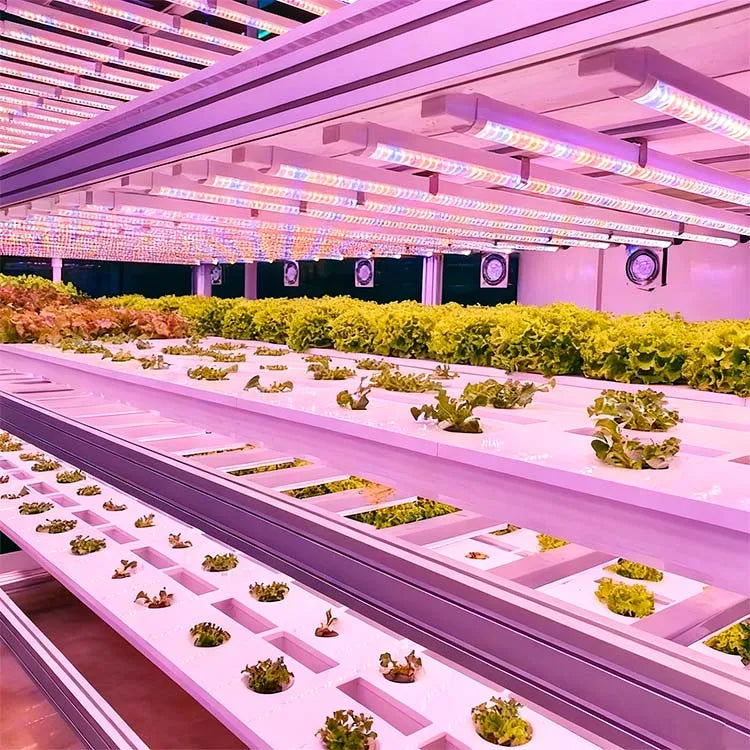 Smart Automatic Aeroponic/Aquaponic Vegetable  Farm-Shipping Container Growing System with PVC Engine & Pump