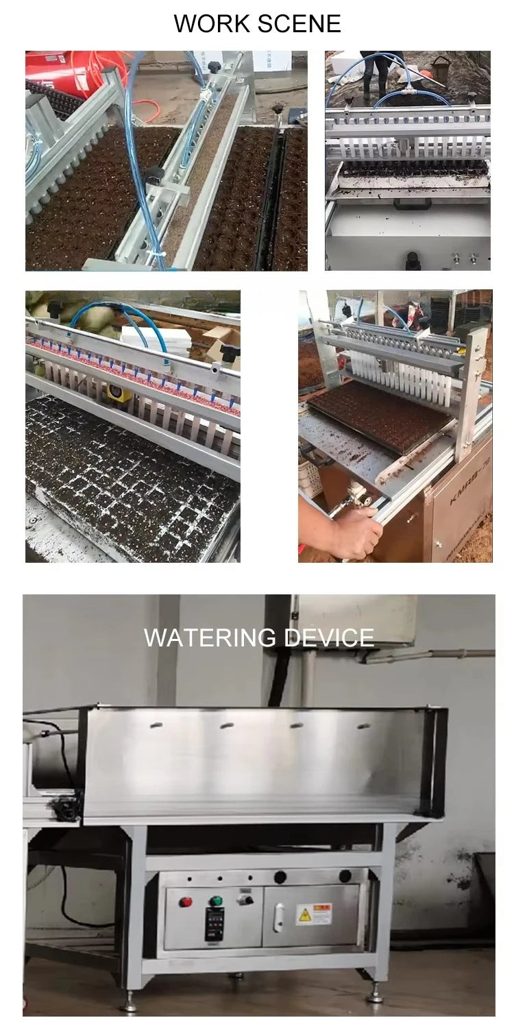 Greenhouse Vegetable Nursery Machinery Full Automatic Tray Seedling Machine Vegetable Seed Plant Machine