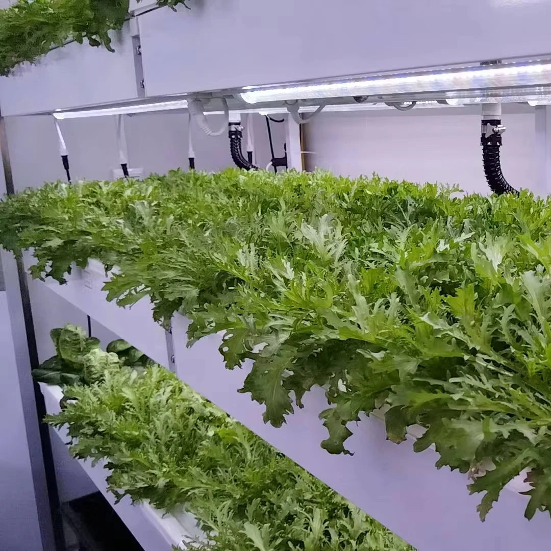 Smart Automatic Aeroponic/Aquaponic Vegetable  Farm-Shipping Container Growing System with PVC Engine & Pump