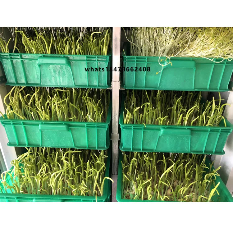 Automatic Growing Cucumbers Seed to Fruits Seedling Planting Machine