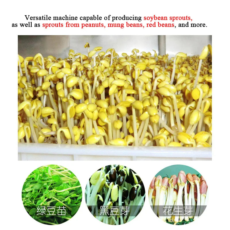 Intelligent High Multi-Sprout Cultivation Machine Automatic Watering 400KG Capacity 100kg Daily Output Sprout Growing Cabinet